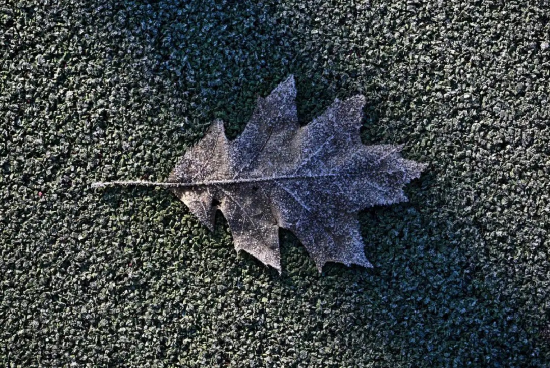 假期结束，冷空气上班！@宁波人，出门记得把羽绒服焊身上