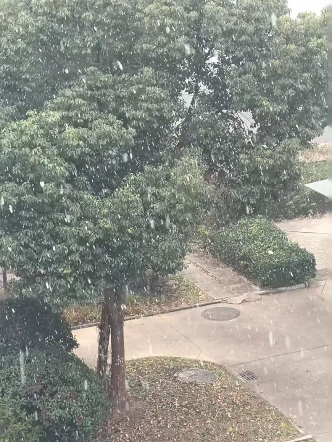 此时此刻，南京又下雪了！