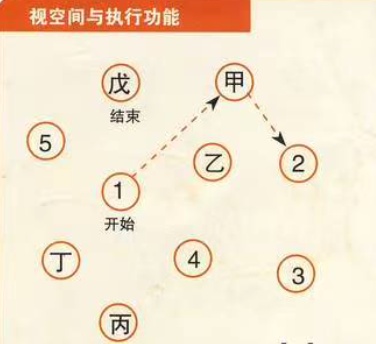 健忘失眠=大脑在报警！中西医支招，3步养出“最强大脑”