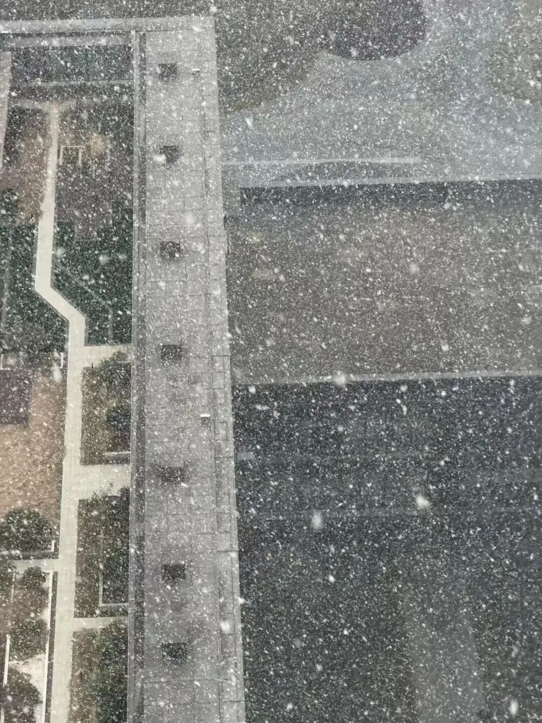 此刻，合肥，大雪纷飞