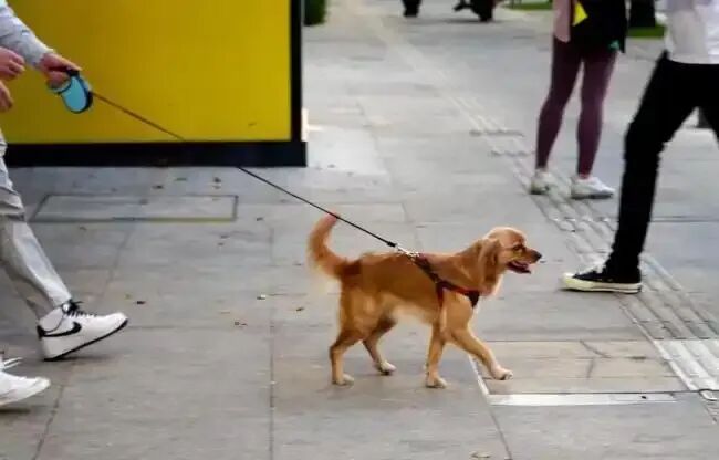 本月起，这些行为最高拘留10天罚1000元