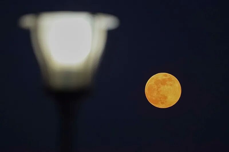 2026首个“超级月亮”现身夜空，为何最近总有“超级月亮”？专家释疑