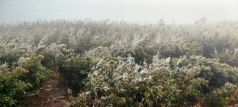 广东现雾凇、冰挂奇观……新一轮冷空气在路上