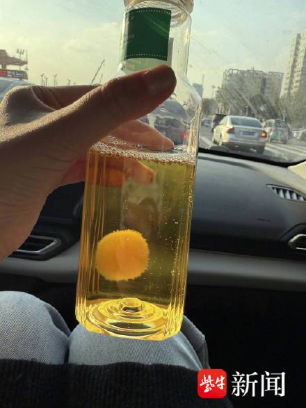 年轻人养变质茶饮菌团当宠物 新晋异宠茶菌球是致病菌温床