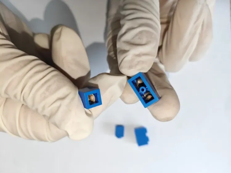 7粒大麻种子，藏在拼好的乐高里！杭州海关查获“积木夹心”走私案