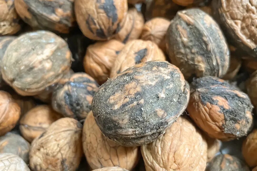 提醒！这7类食物，最好不要再吃了