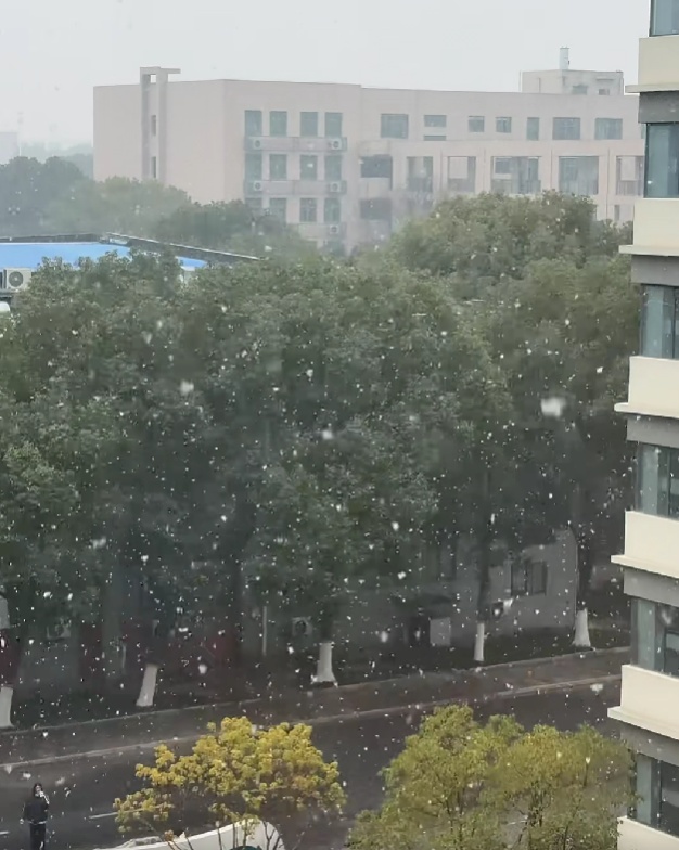此时此刻，南京又下雪了！