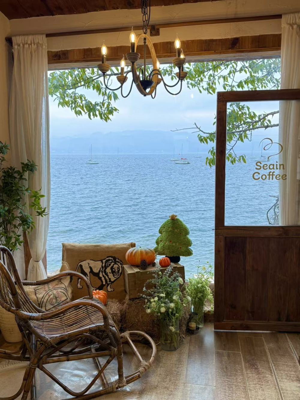 免税购、销假游……这个假期你属于哪一派？