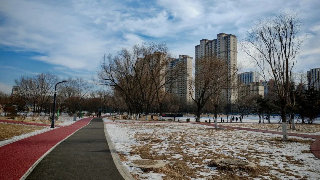 内蒙古晴冷持续 大风不休 局地降雪