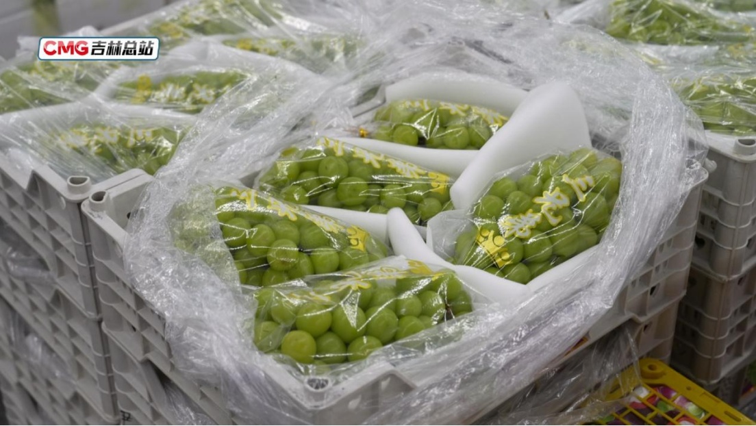 元旦假期长春水果花卉市场购销两旺 节日消费市场暖意浓 元旦假期长春水果花卉市场购销两旺 节日消费市场暖意浓