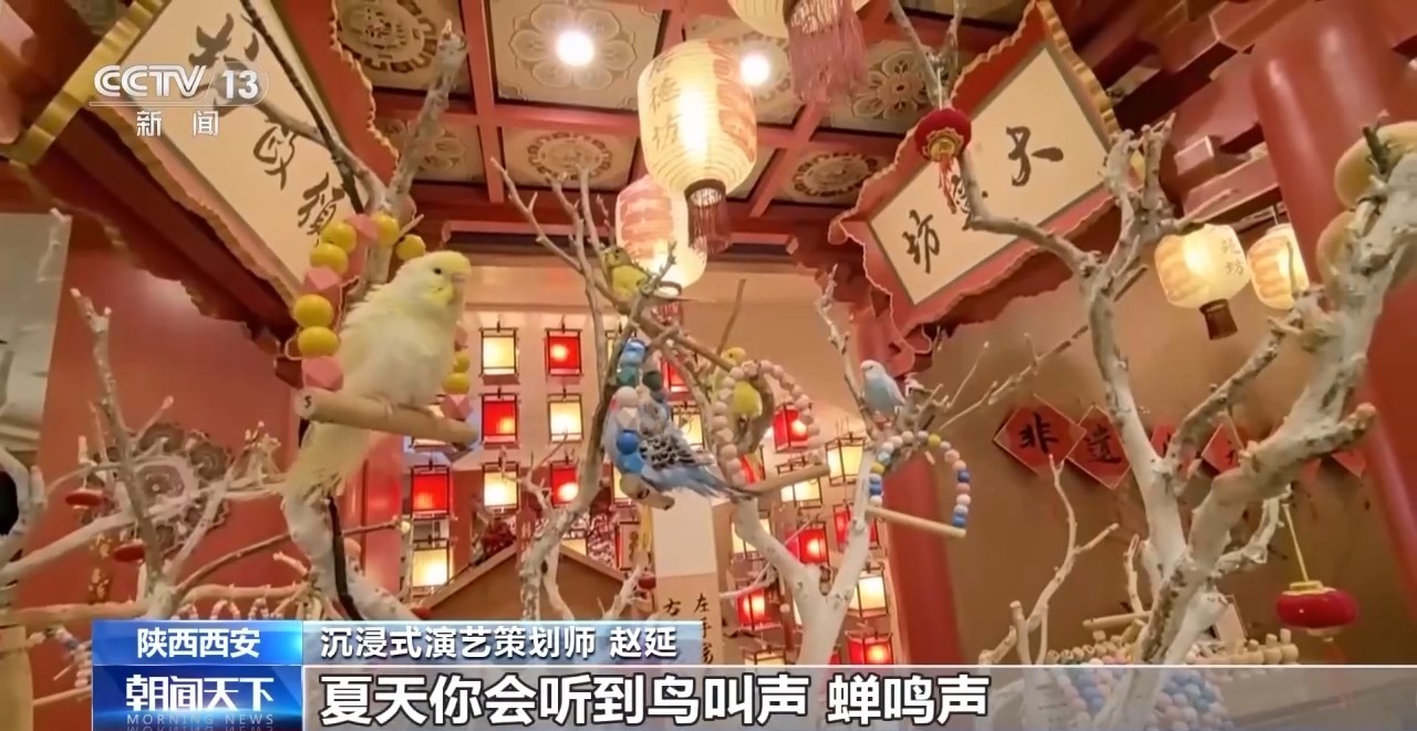 看唐代杂耍、和“李白”聊天 沉浸式演艺策划师这样创作节目