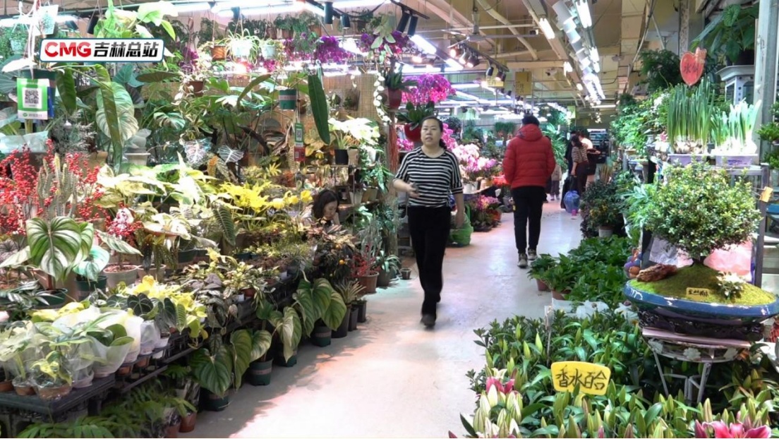 元旦假期长春水果花卉市场购销两旺 节日消费市场暖意浓 元旦假期长春水果花卉市场购销两旺 节日消费市场暖意浓