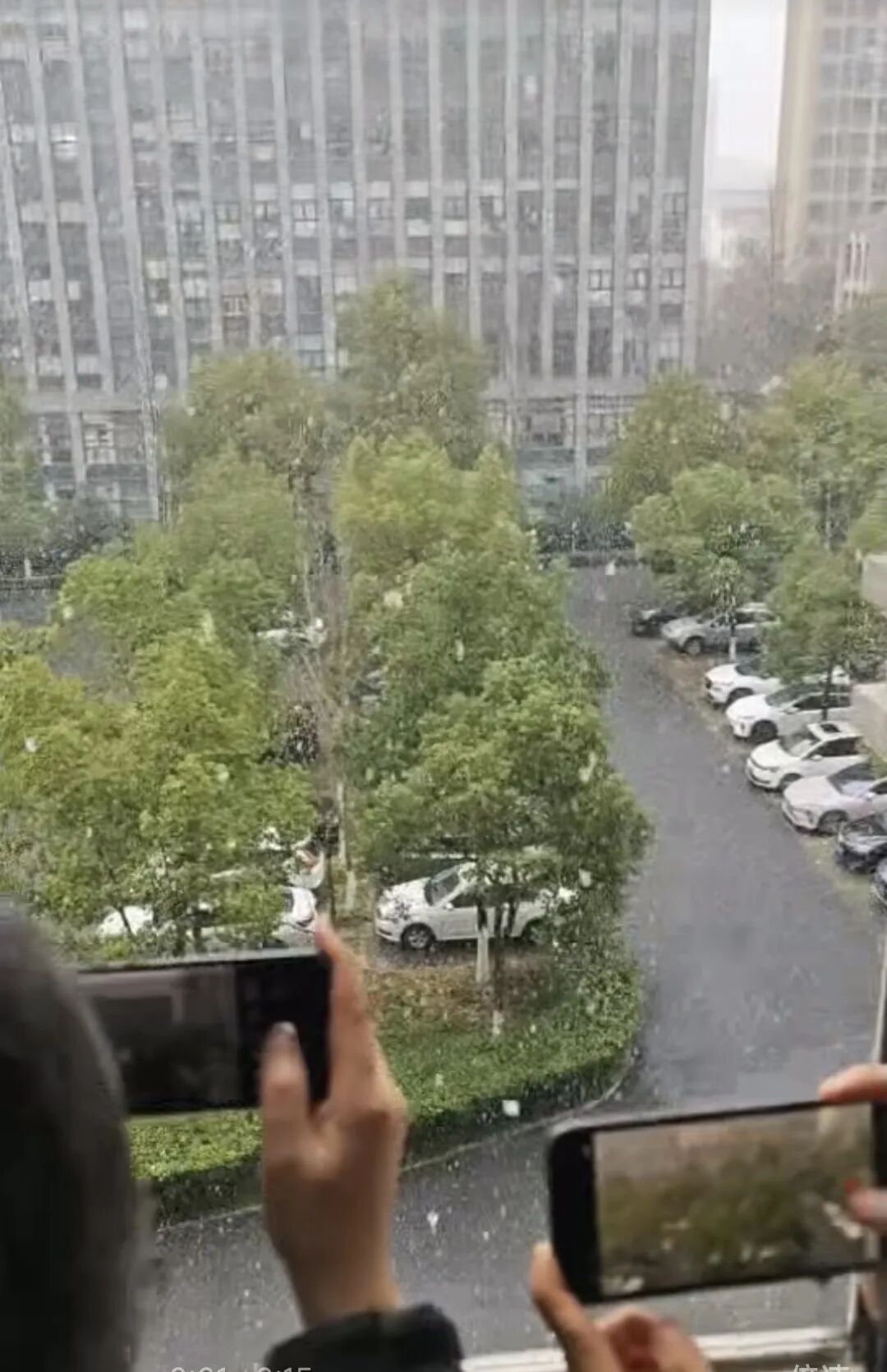 合肥正在下雪！升至20℃！安徽天气即将大反转