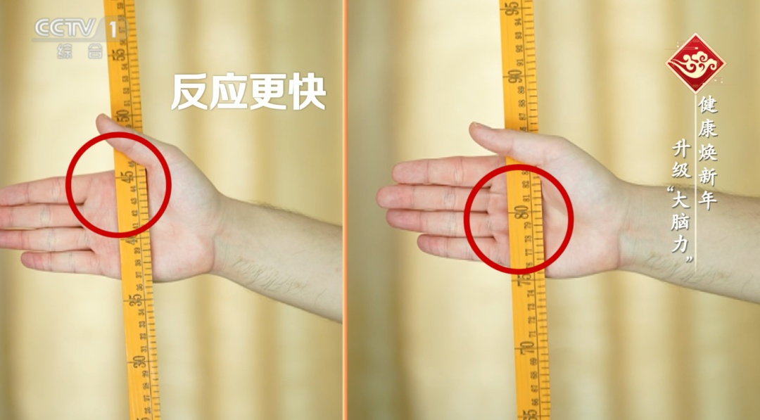 健忘失眠=大脑在报警！中西医支招，3步养出“最强大脑”