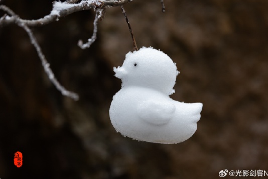 此时此刻，南京又下雪了！