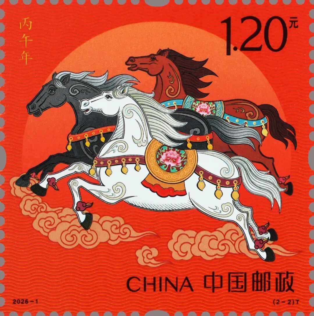 今日首发！你抢到了吗？