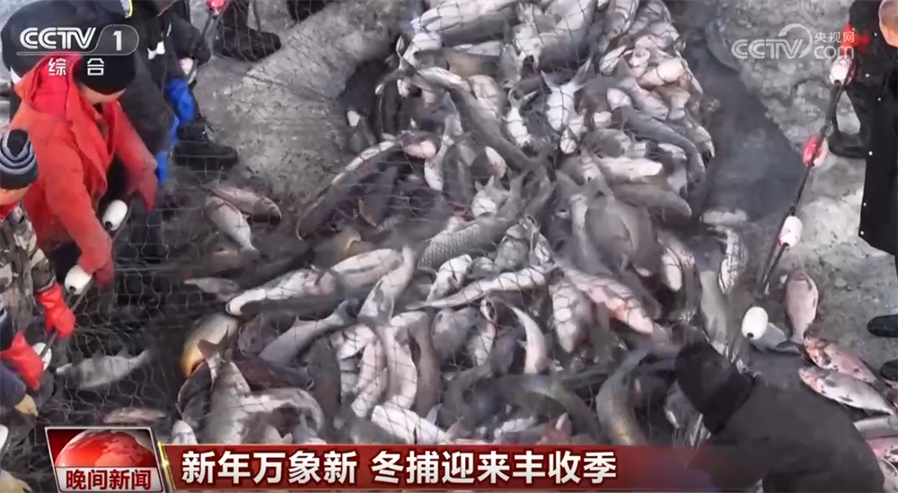 各领域“新成果+新举措”为新一年经济民生发展开好头 万象更新干劲儿足