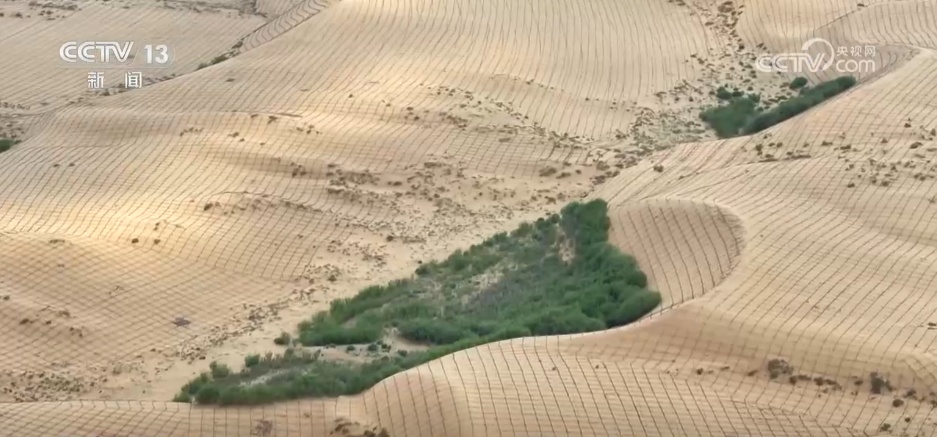 “十四五”我国林草种苗工作取得新进展 “三北”工程完成建设任务超2亿亩