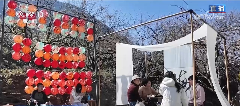 小寒节气 | 寒极迎春到，喜得梅花扑鼻香