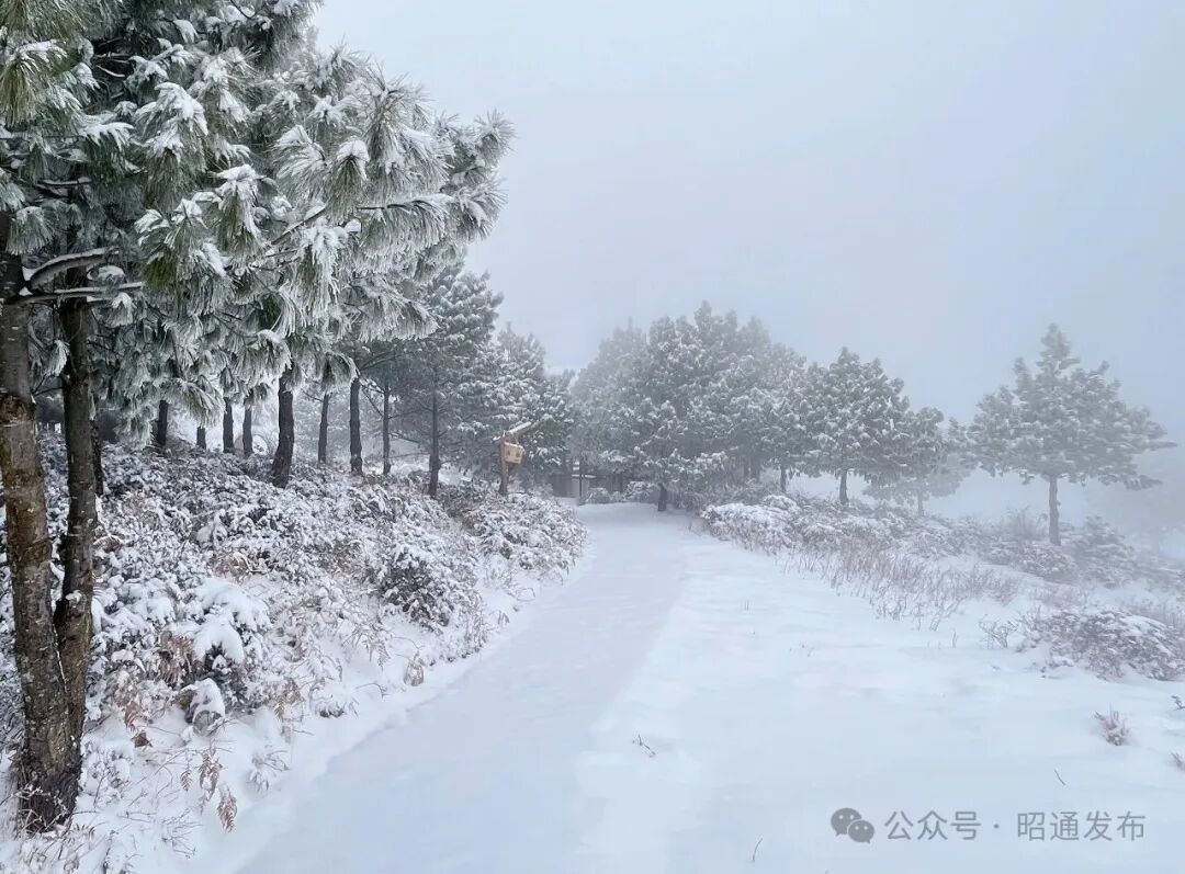 云南多地迎来2026年首场降雪! 云南多地迎来2026年首场降雪!