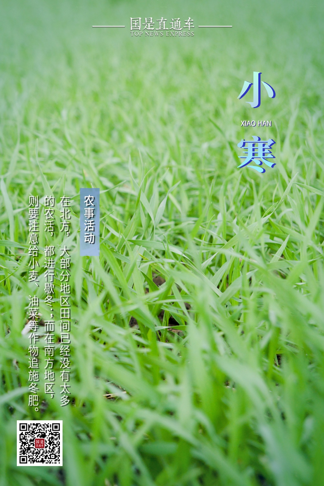 今日小寒！梅花开小寒，冰雪荐清香