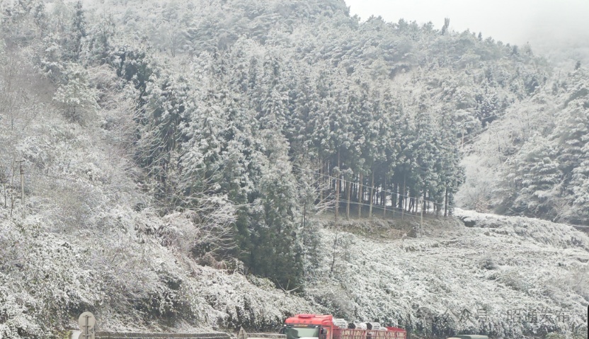 云南多地迎来2026年首场降雪! 云南多地迎来2026年首场降雪!