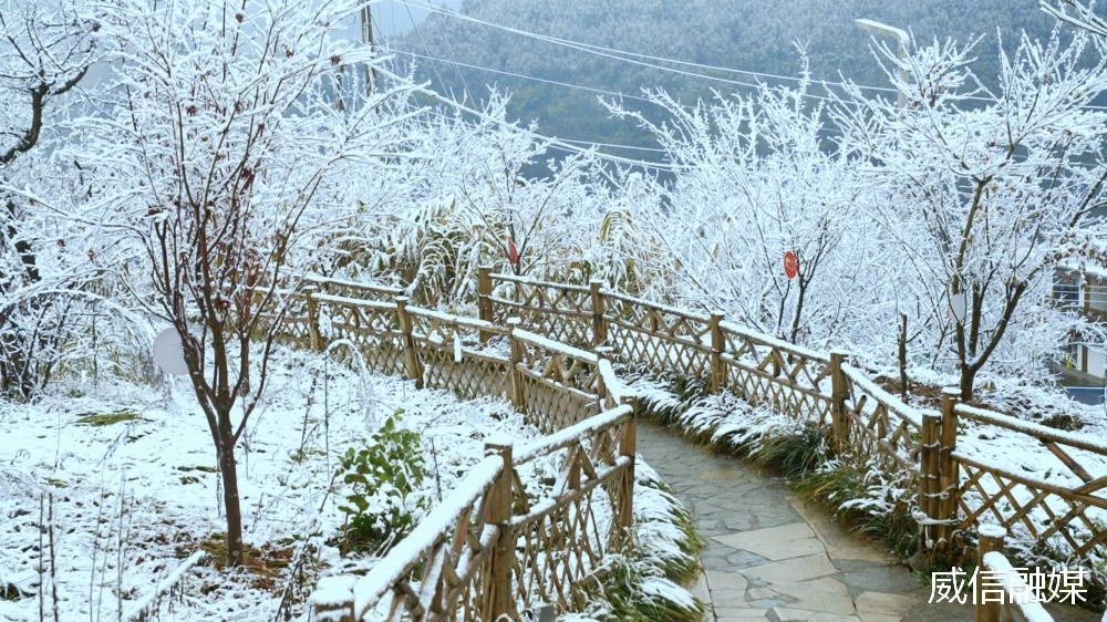云南多地迎来2026年首场降雪! 云南多地迎来2026年首场降雪!