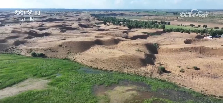 “十四五”我国林草种苗工作取得新进展 “三北”工程完成建设任务超2亿亩