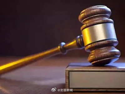 北京市民救助12只被困猫反被起诉 法院：只归还猫笼