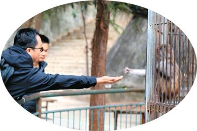 一天来不了几位游客的凯里动物园，怎么突然火了？