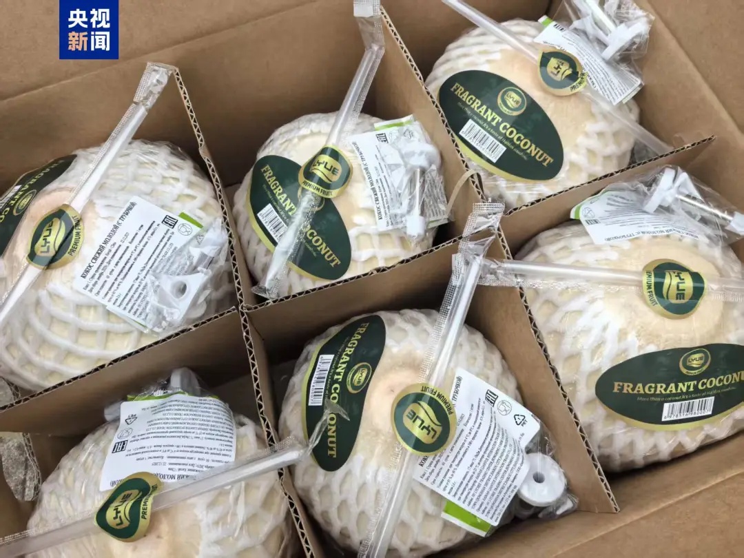 海口鲜椰首发白俄罗斯 海口鲜椰首发白俄罗斯