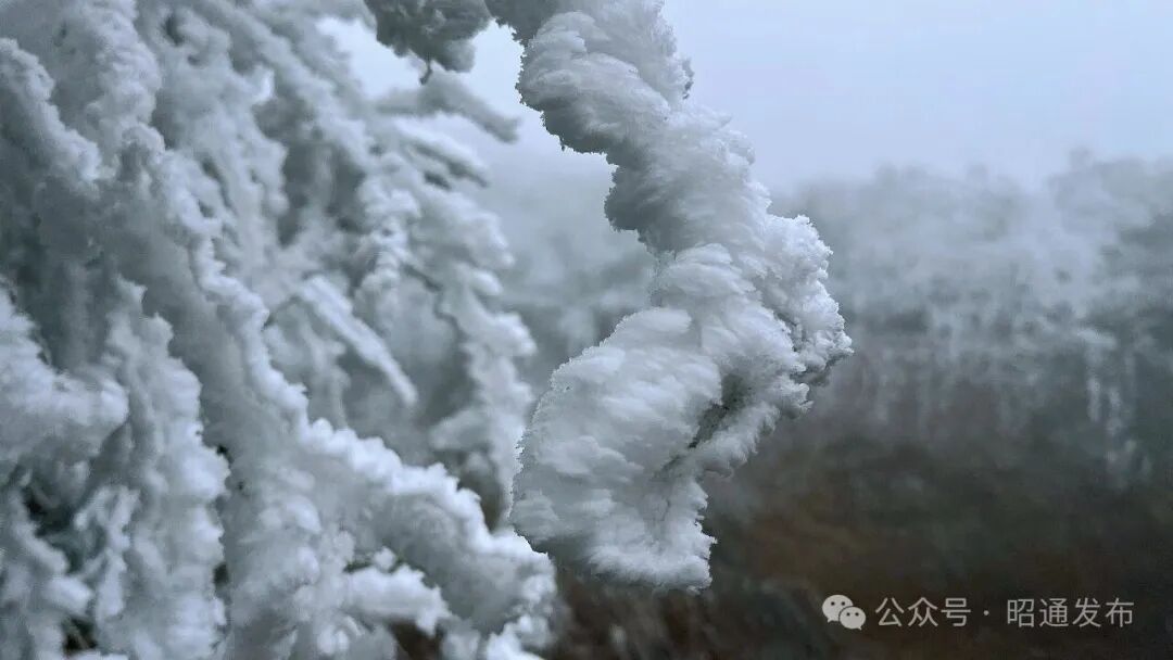 云南多地迎来2026年首场降雪! 云南多地迎来2026年首场降雪!