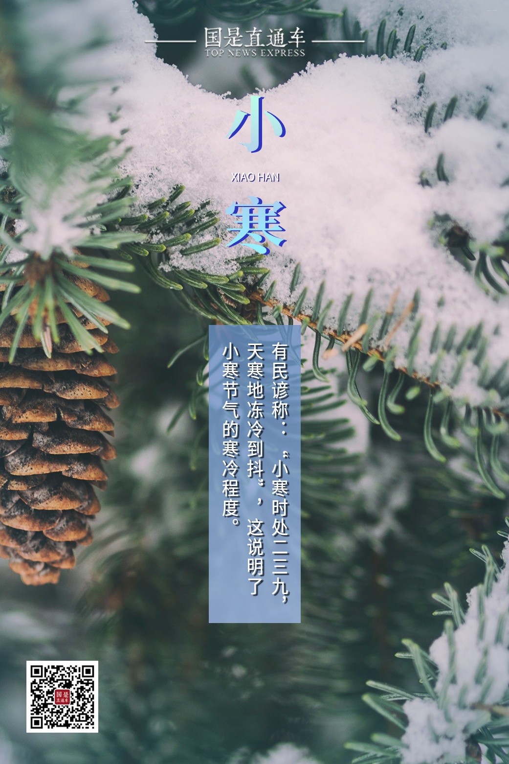 今日小寒！梅花开小寒，冰雪荐清香