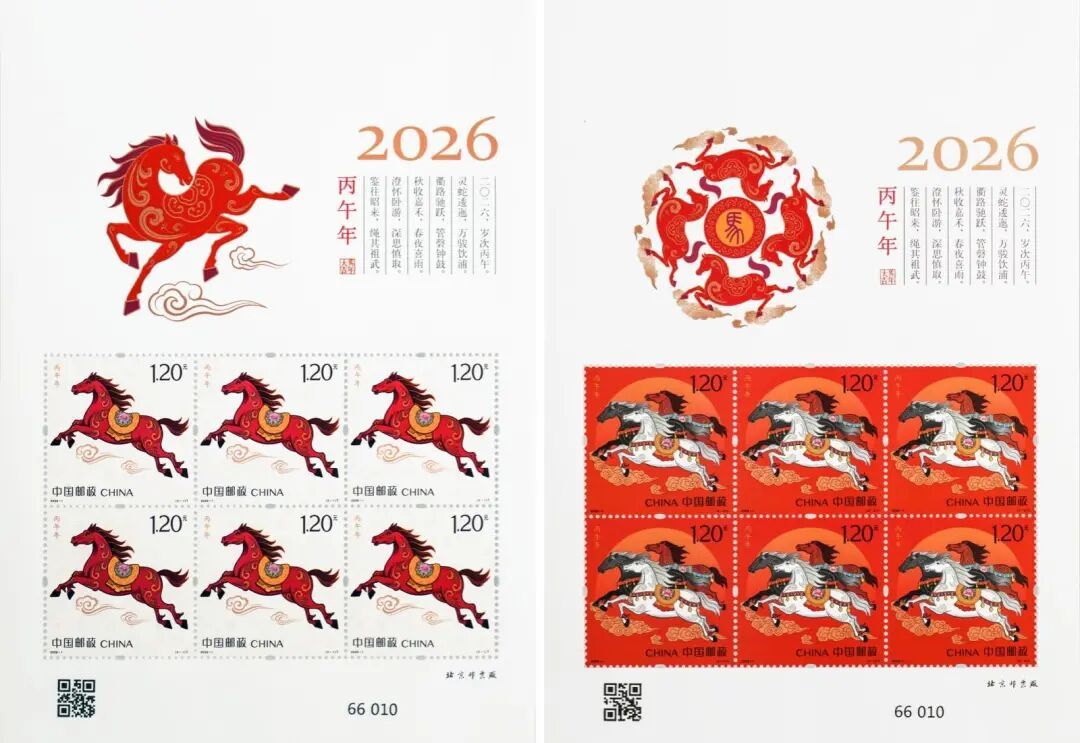 今日首发！你抢到了吗？