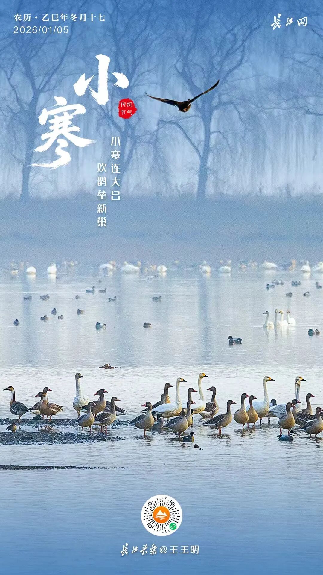 小寒｜寒深岁暖，年味渐浓