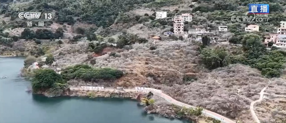 小寒节气 | 寒极迎春到，喜得梅花扑鼻香