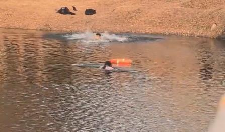 钓鱼男子跳进冰冷河水救人，当地正为其申报见义勇为，当事人回应