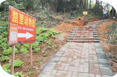 一天来不了几位游客的凯里动物园，怎么突然火了？