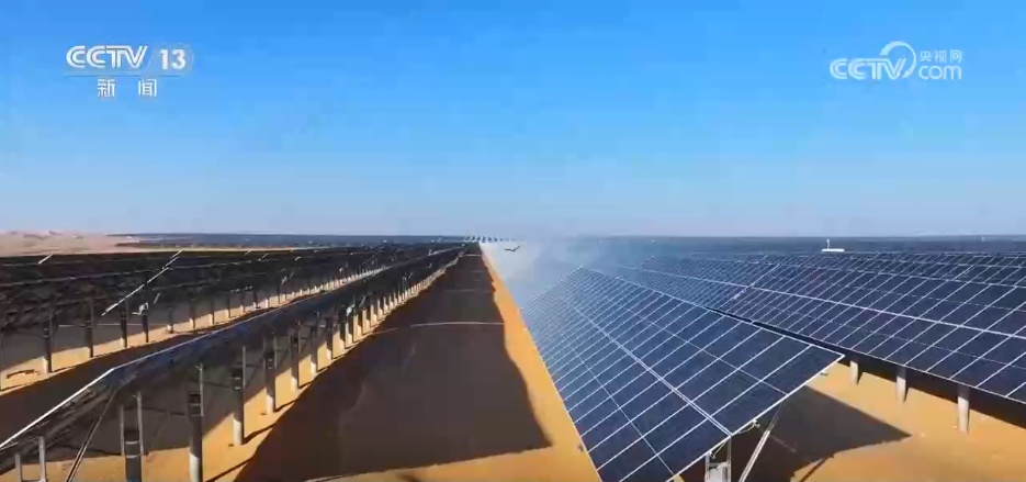 “十四五”我国林草种苗工作取得新进展 “三北”工程完成建设任务超2亿亩