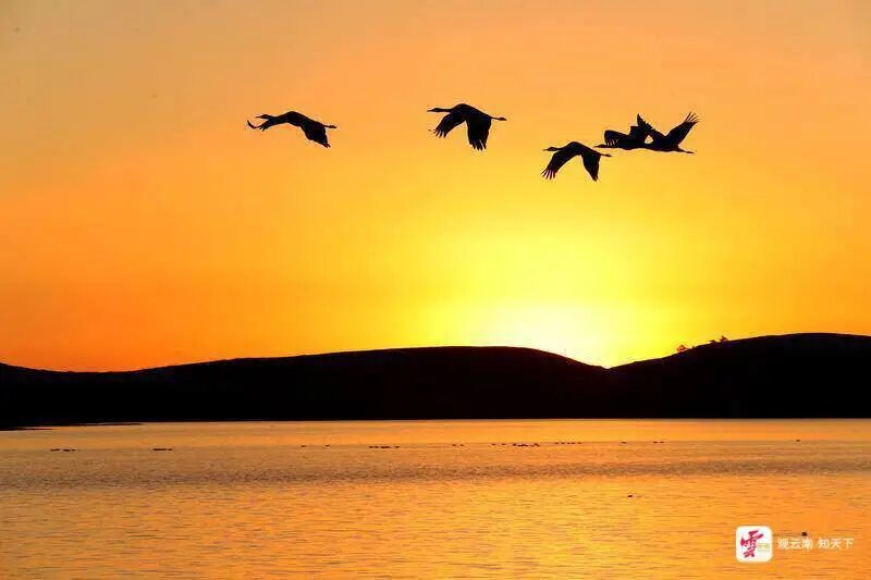 今日小寒：愿你三冬不寒 岁月安暖