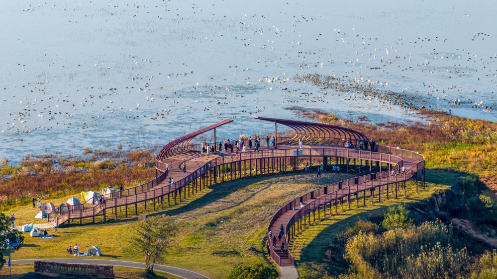 节令之美|小寒：梅开鸟归渚，桔红腊味香