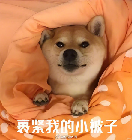 冷冷冷！未来10天有三股冷空气