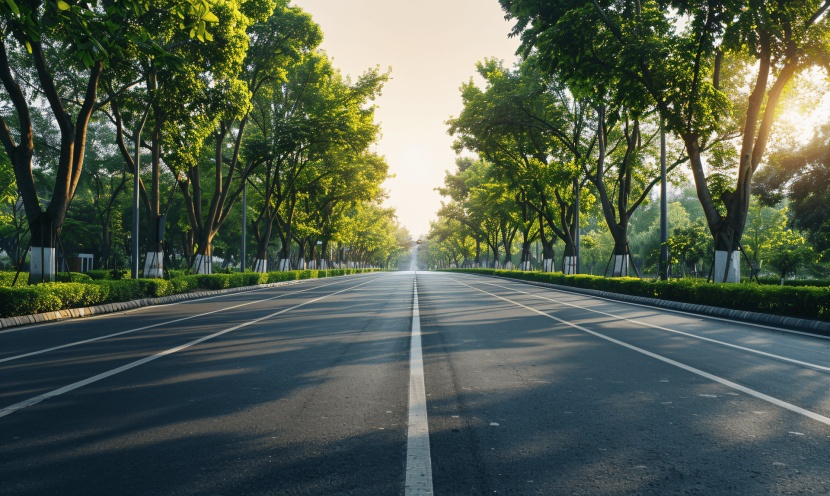 蝌学零距离 | 为什么每年冬天树干都会涂白? 蝌学零距离 | 为什么每年冬天树干都会涂白?