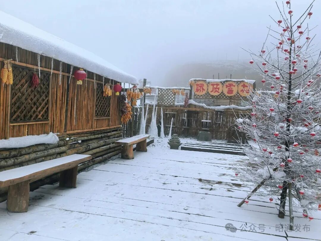 云南多地迎来2026年首场降雪! 云南多地迎来2026年首场降雪!