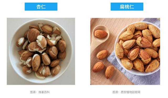 这种长期被低估的坚果，真的值得搬上餐桌！每天一小把，好处比你想得多