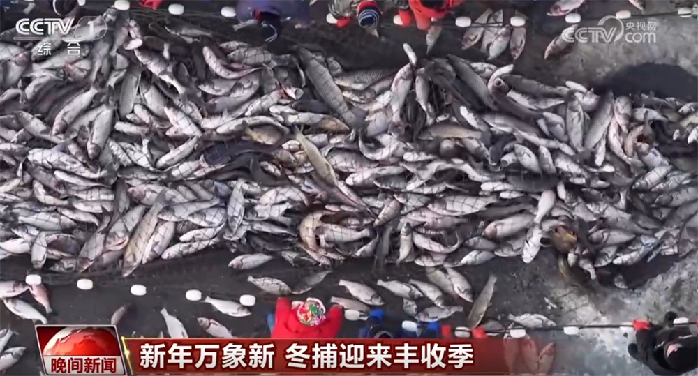 各领域“新成果+新举措”为新一年经济民生发展开好头 万象更新干劲儿足