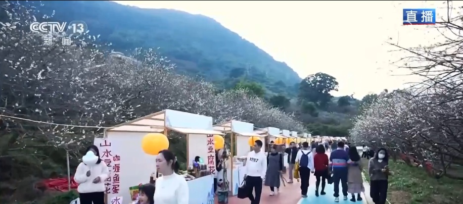 小寒节气 | 寒极迎春到，喜得梅花扑鼻香