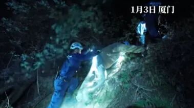 厦门两名大学生结伴爬山，离闹市大马路仅百米时迷路了，无人机紧急搜索……