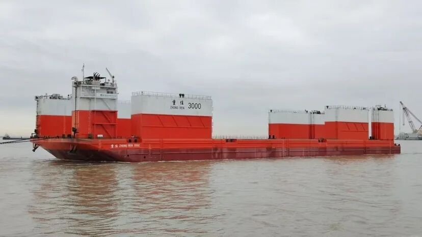 新年首个工作日，“中国洋浦港”再添新成员！