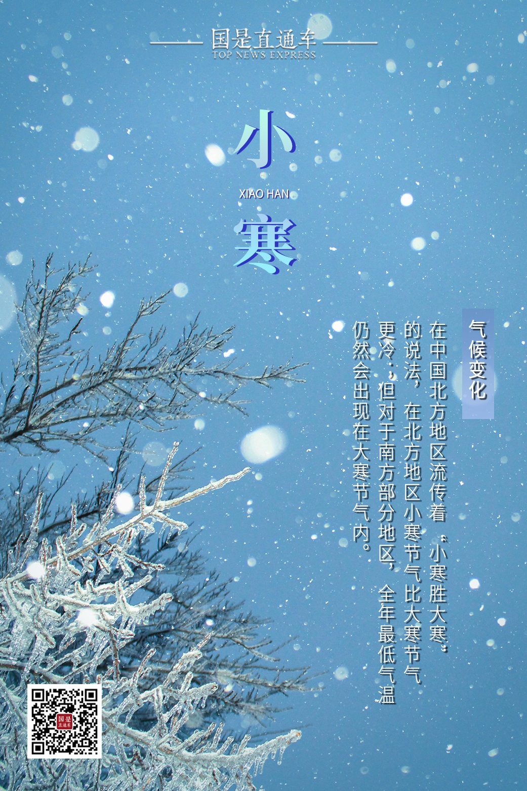 今日小寒！梅花开小寒，冰雪荐清香